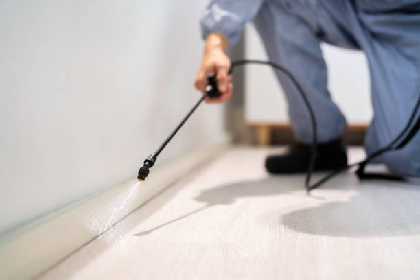 Professional exterminator conducting IPM assessment in Shavano Park